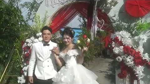 Cơ sở nấu tiệc cưới tình thương đãi tiệc cưới vu Quy xã Tân điền ấp Bắc 2 nhà của m ợ 8 Nam 30 năm