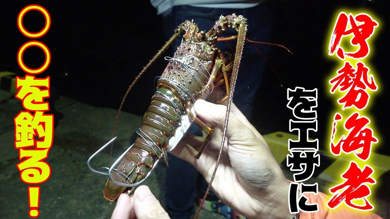 久々の離島遠征 キャンピングカーでのんびり旅 Youtube