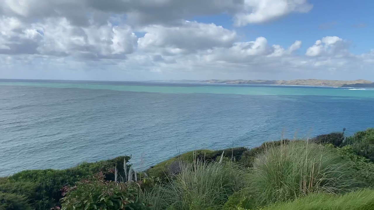 Raglan beach🏝🏖 