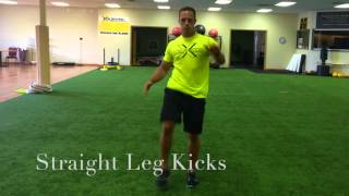 Straight Leg Kicks