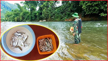 Câu Cá Mương Suối | Câu Cá Giải Trí Và Ẩm Thực