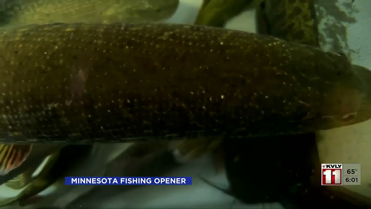 Minnesota Fishing Opener