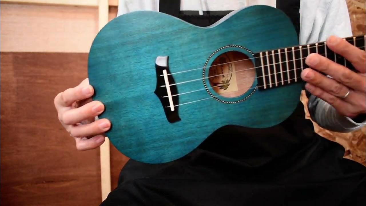 OUTLET/Enya Ukulele EUC25D YouTube