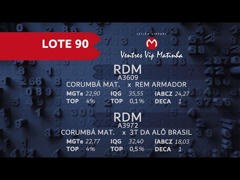 LOTE 90 Ventres Vip 2021