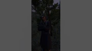 Running into a random in the woods...