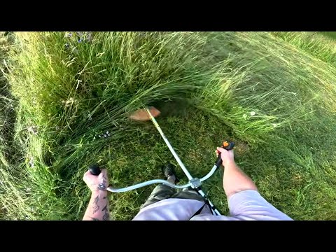 Satisfying Overgrown Grass Cutting with a Brush Cutter🔥
