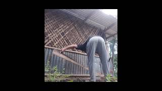 Rice Mill Nok Bera Sepenga Garo Matchi Vlog