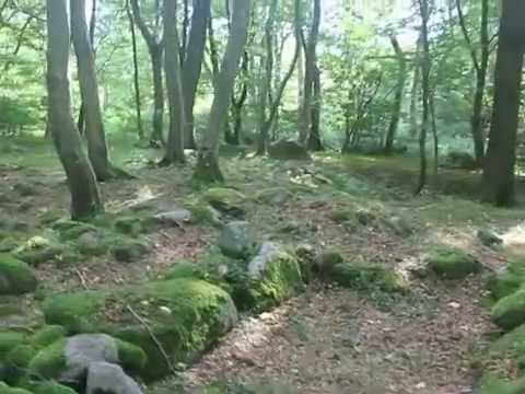 Gravpladsen på Bøgebjerg / Bornholm / Danmark Gravpladsen på Bøgebjerg / Bornholm / Danmark