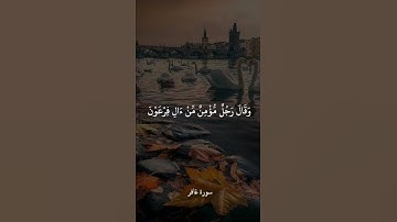 سورة غافر حالات واتس اب قران كريم
