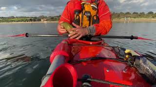 Kayak bilge system- Hand pump, sponge/ bailer and Hands free electronic  Bilder pump