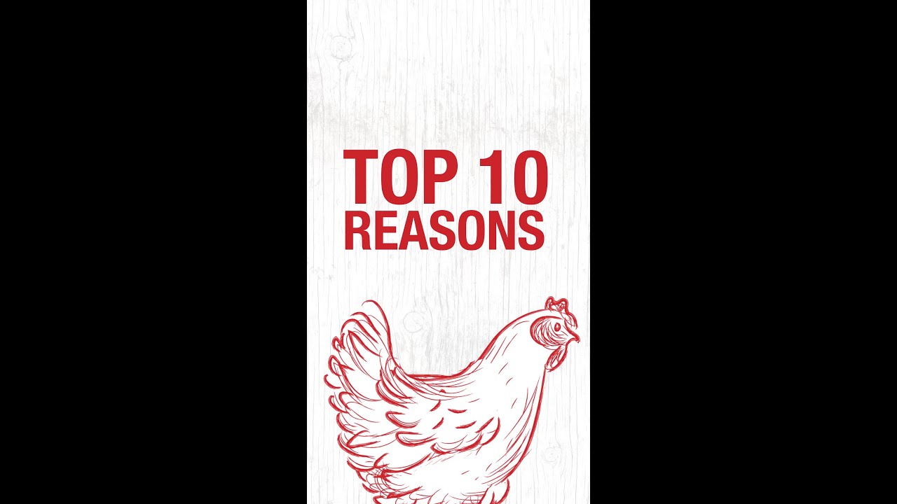 Why do chickens lay fewer eggs in winter? #Shorts