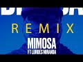 Diboba - Mimosa (Remix) [feat. Lurdes Miranda].