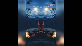 Reynmen - Pare Oğuzcover