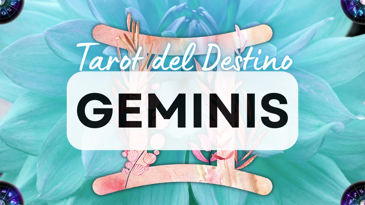 🌺 GEMINIS ♊️ LLEGA UN AMOR NUEVO A TU VIDA 💕💑 Y EL DESTINO PONDRÁ EL ...
