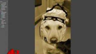 Free Web Version Of Photoshop Launches