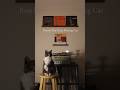 Roarie The Famous Taste Making Cat #vinyl #recordcollection #vinylcheck #recordplayer #fyp