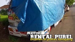 Rental purel laka ditahan di polres lumajang