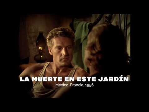 Retrospectiva Buñuel en México diciembre