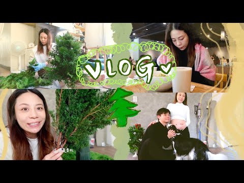 VLOG｜孕婦日常！挑戰DIY一顆真的聖誕樹！🥰🎄 #23weekspregnant