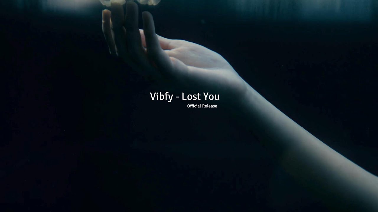 Download Vibfy - Lost You MP3
