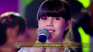 Vídeo de Festal Animal