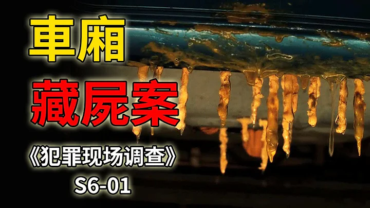 汽車後備箱傳出陣陣惡臭，打開一看竟藏著一對腐爛的男女《C.S.I.--Crime Scene Investigation 》 - 天天要聞