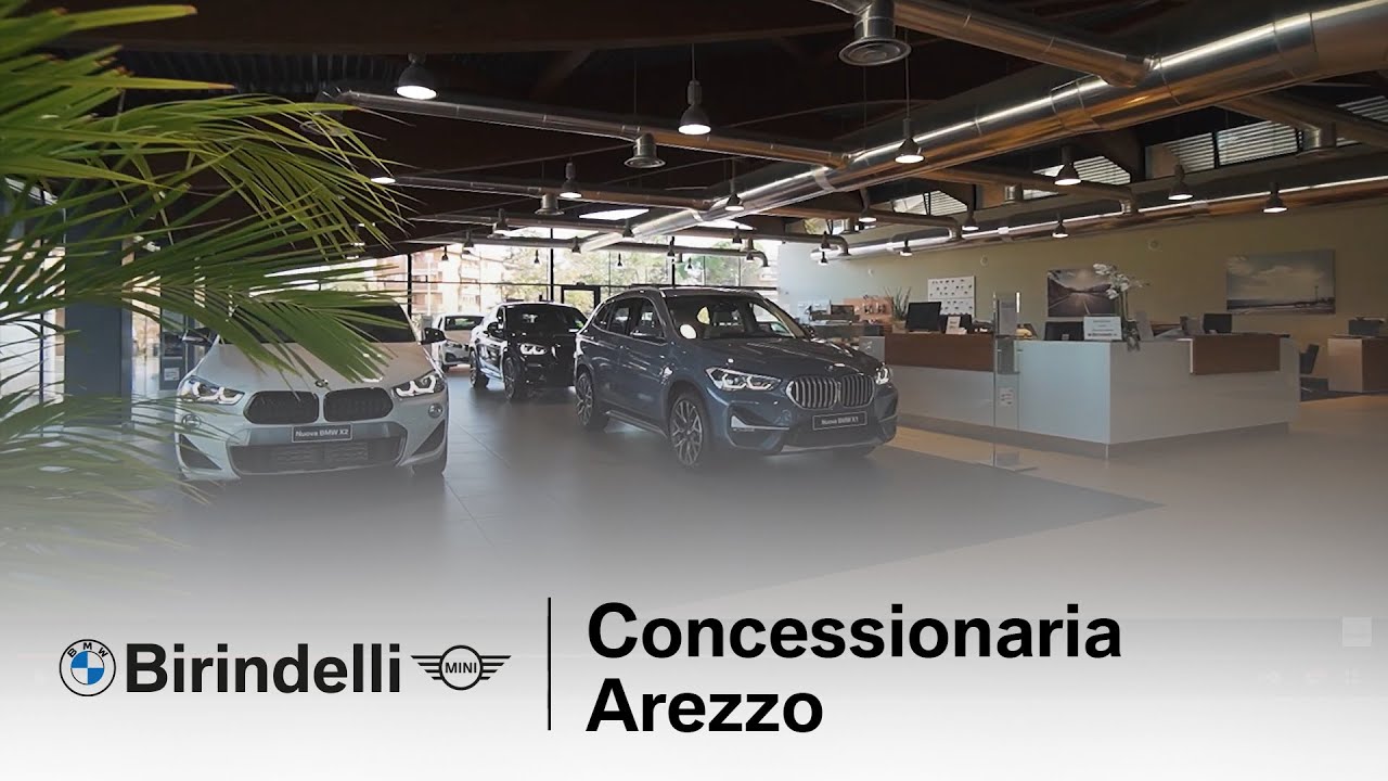 birindelli & co srl concessionaria e service volkswagen