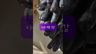 🍇💜요즘엔 다들 이 포도만 먹어요  #블랙사파이어포도 #과일맛집 #fruit