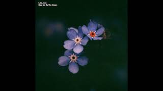 Late June - Meet Me By The Ocean
