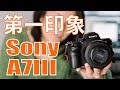 [日本語]Sony A7III 第一印象 D750と比較 ISOテスト ダイナミックレンジ