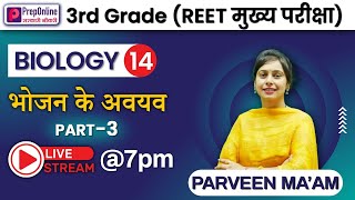 3Rd Grade Teacher Reet Mains भजन क अवयव Biology By Parveen Mam