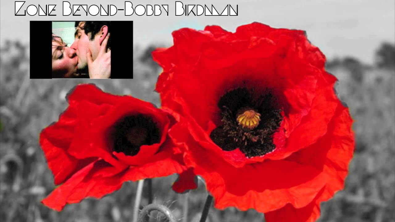 YouTube에서 Gone Beyond - Bobby Birdman 보기 YouTube에서 Gone Beyond - Bobby Birdman 보기
