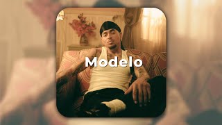 La_Modelo #ozuna (𝘚𝘭𝘰𝘸𝘦𝘥 𝘙𝘦𝘷𝘦𝘳𝘣 | TikTok Version) 
