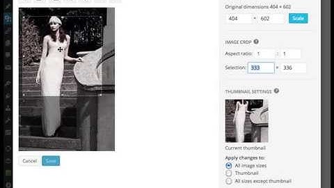 How to crop Wordpress image thumbnails manually