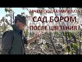 Чем подкормить сад после цветения? Сады Рыжевских