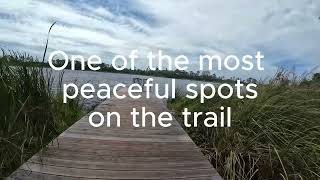 WATCH THIS BEFORE TRAVELING TO GULF SHORES ALABAMA