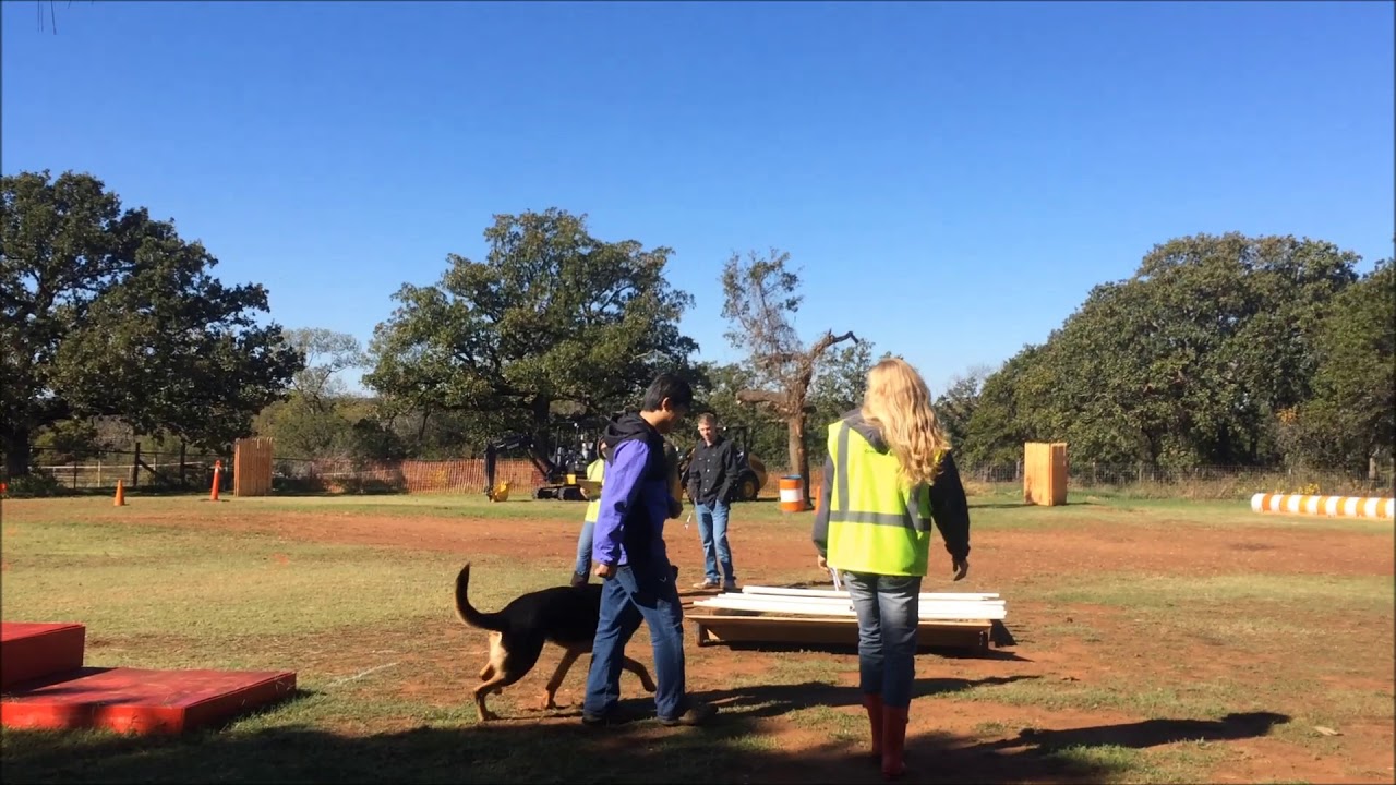 Mondioring 1 (full trial)