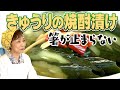 【箸が止まらない】きゅうり焼酎漬け