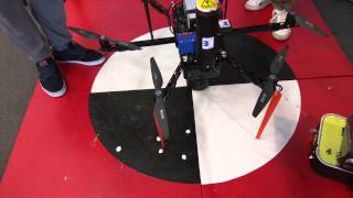 Wasp egg dropping drone