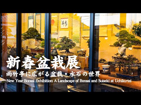 New Year Bonsai Exhibition: A Landscape of Bonsai and Suiseki at