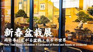 New Year Bonsai Exhibition: A Landscape of Bonsai and Suiseki at