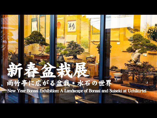 New Year Bonsai Exhibition: A Landscape of Bonsai and Suiseki at