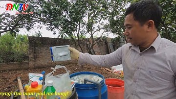 HOA BƯỞI ĐANG NỞ PHUN NHIỀU LOẠI THUỐC CÓ ẢNH HƯỞNG GÌ KHÔNG?-ĐỨC NHÂN TV: 0973380995