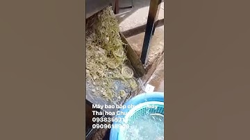 Máy bao hoa chuối, máy Thái bắp cải su hào ,bào rau muống #cokhitantien #tiktok #xuhuongyoutube #