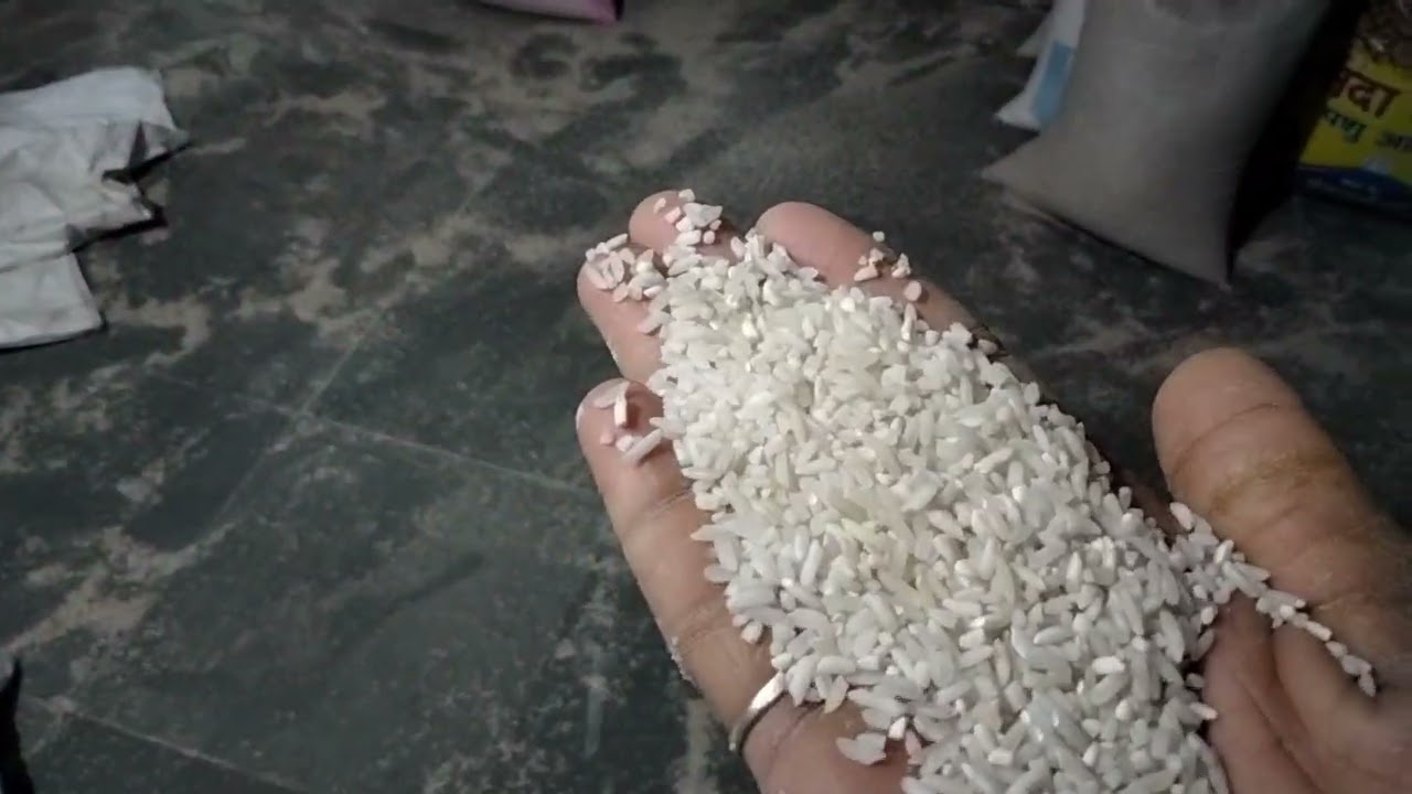 Silky Sartax plant ka full video