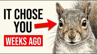 The Exact Moment A Squirrel Decides You Are Safe — And What It Means