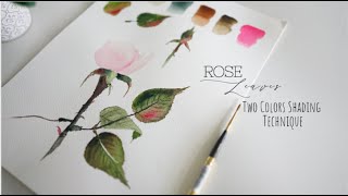 HOW TO PAINT FLOWER STEMS 🌸 Watercolor Techniques and Tips for Beginners 