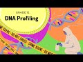 DNA Profiling and Analysis Quiz