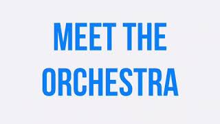 Baby Einstein Meet The Orchestra Remake