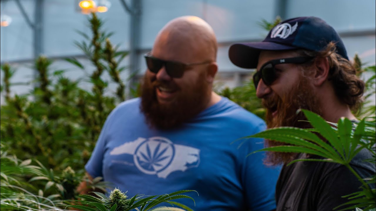 Must See: An Inside Look Into a State of the Art Cannabis Greenhouse